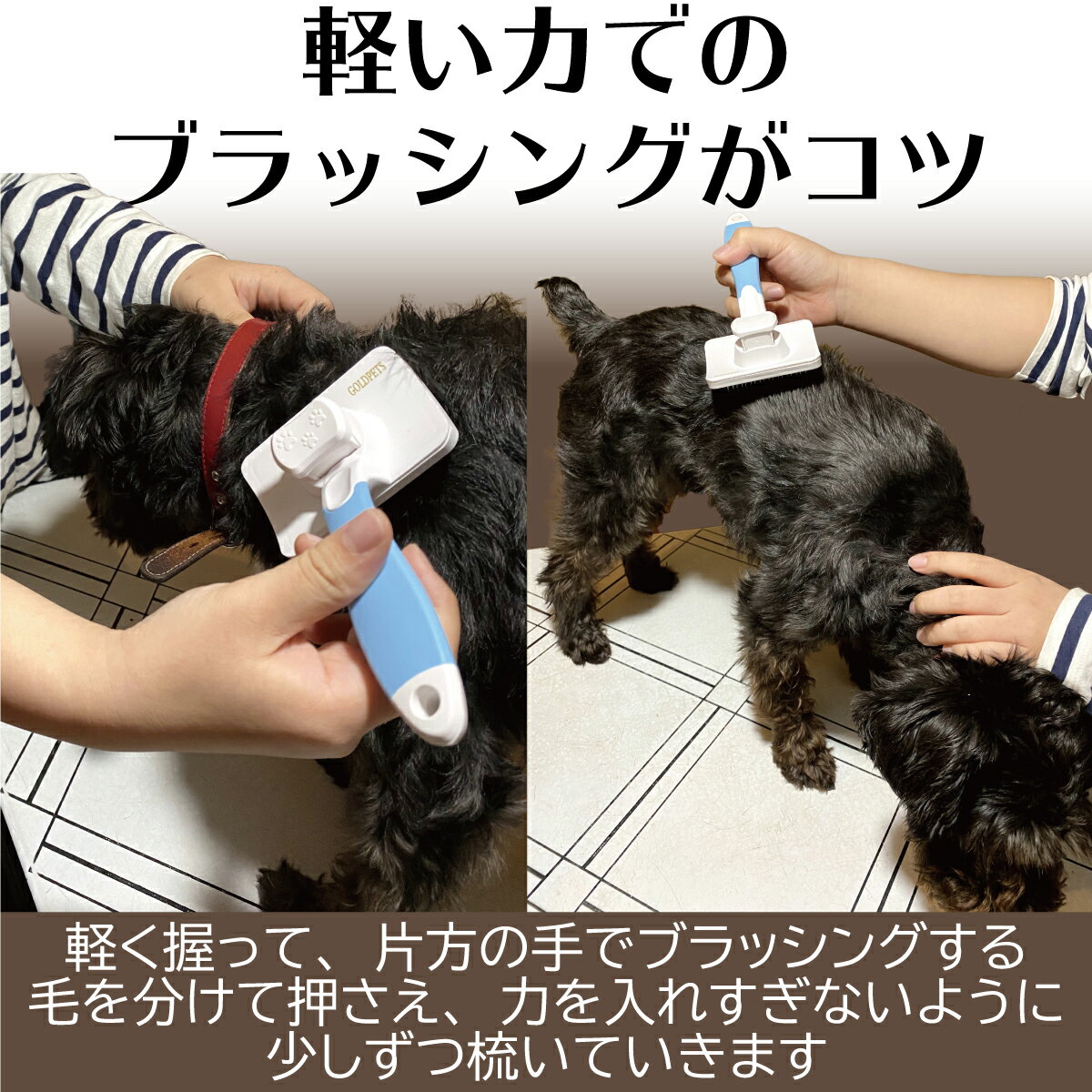 ����å����֥饷 �� ǭ �ڥå��ѥ֥饷 ȴ���Ӽ�ꥯ�꡼�ʡ� ȴ���ӽ��� ���� �淿��