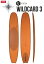 24 SURFTECH サーフテック WAYNE RICH(WILDCARD 3 - NFT - FLAX)(サイズ：9.4，9.9)2024 正規品 SURFBOARD サーフボード サーフィン ショートボード ファンボード