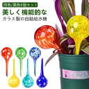自動 水やり機 ガラス 家庭用 自動水やり器 鉢植え 水やり器 オシャレ ガーデニング 上品 美しい 庭 可愛い 観葉植物 水やり 水 植物 水差し 自動じょうろ 園芸用品