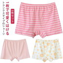 レディース ショーツ ルームウェア トランクス 綿 パンツ 生理 ハイウエスト ルームパンツ 可愛い パンティー 女性用 コットン インナーパンツ おやすみパンツ ボックスショーツ