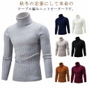 ニット セーター メンズ ケーブル編み トップス タートルネック ハイネック メンズニット メンズセーター スリム フィット 細身 ニットセーター ケーブルニット 秋 薄 インナー 冬