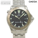 オメガ OMEGA シーマスター プロフェッショナル 300 アメリカズカップ 9999本限定 2533 50 メンズ 腕時計 デイト ブラック オートマ 自動巻き ウォッチ Seamaster 【中古】