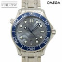 オメガ OMEGA シーマスター プロフェッショナル 300 コーアクシャル 210 30 42 20 06 001 メンズ 腕時計 デイト グレー オートマ 自動巻き Seamaster 【中古】