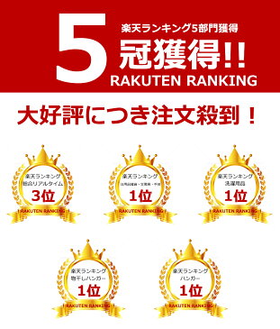 30ピンチ付 ステンレスハンガー 洗濯バサミ クリップハンガー 洗濯 物干し ズボン用 省スペース 子供用 スリム 靴下 下着 ブラジャー すべらない 収納 おしゃれ 安い 新生活 引っ越し 一人暮らし 送料無料