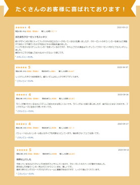 【お買い物マラソン限定価格】最高級 ステンレスズボンハンガー 10本セット 28.5cm 高品質 洗濯 すべらない スカート用 スラックス ボトムス スカート パンツハンガー タオル クリップ ピンチ 落ちにくい 収納 省スペース おしゃれ 新生活 引っ越し
