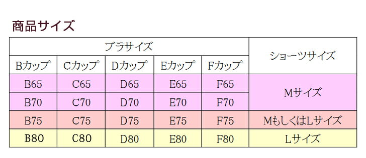 【福袋】 プレミアム福袋 ＜ 厳選 ブラジャー ショーツ セット 3組入福袋 ＞( 福袋 2021 レディース 下着 ランジェリー B65 B70 B75 C65 C70 C75 D65 D70 D75 E75 F65 F70 F75 ブラ ブラショーツ 女性 ブラセット 上下セット パンティー 在庫処分 )