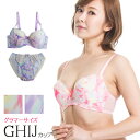 ブラジャー ショーツ セット 大きいサイズ フラーヴ( G75 G80 G85 G90 H75 H80 H85 H90 H95 I80 I85 I90 I95 I100 Iカップ ピンク パープル 寄せ 上げ レディース インナー 上下 下着 大きなサイズ ブラ ブラショーツ )