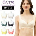 < 美人工房 >バストスッキリ! ノンワイヤーブラジャー2色セット ( S M L LL 3L ベージュ ノンワイヤーブラ フルカップ 三角ブラ 楽ブラ ナイトブラ 着心地重視 谷間 セクシー 彼女 谷間メイク 透け 可愛い 脇高 ファッション プルミエ )