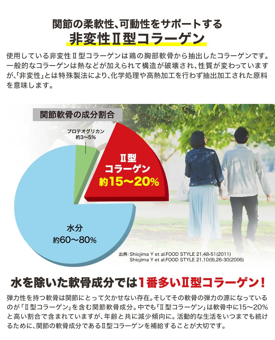 ファイテン ヒザシャキ (機能性表示食品) サプリメント 関節 コラーゲン ヒアルロン酸 サプリ 膝 軟骨 ひざ 膝関節 非変性II型コラーゲン コラーゲンサプリ ひざサプリ purupurustore-10000097 ボディケア専門店ぷるぷる サンプル画像2