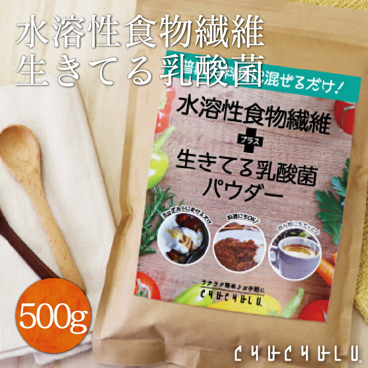 水溶性食物繊維＋生きてる乳酸菌パウダー500g 腸活 食物繊維 乳酸菌 難消化性デキストリン ダイエット食品 腸活ダイエット 酪酸菌