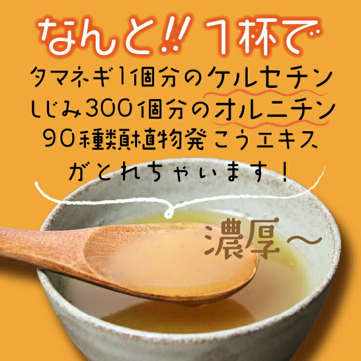 濃厚オニオンしじみスープ　48包 　ケルセチン 水溶性食物繊維 90種類発酵エキス 1食分のビタミン配合 ダイエット食品 ダイエットスープ 置き換えダイエット 糖質制限 低糖質 低カロリー 食品 食事 満腹感