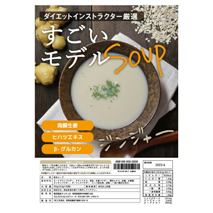 送料無料 すごいモデルスープ ダイエットインストラクター厳選 ジンジャー