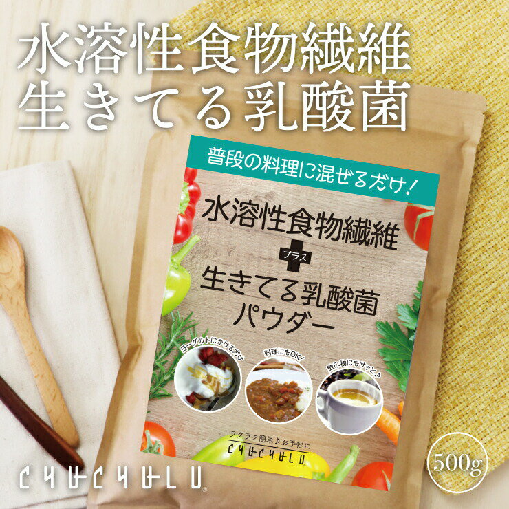 水溶性食物繊維＋生きてる乳酸菌パウダー500g 腸活 食物繊維 乳酸菌 難消化性デキストリン ダイエット食品