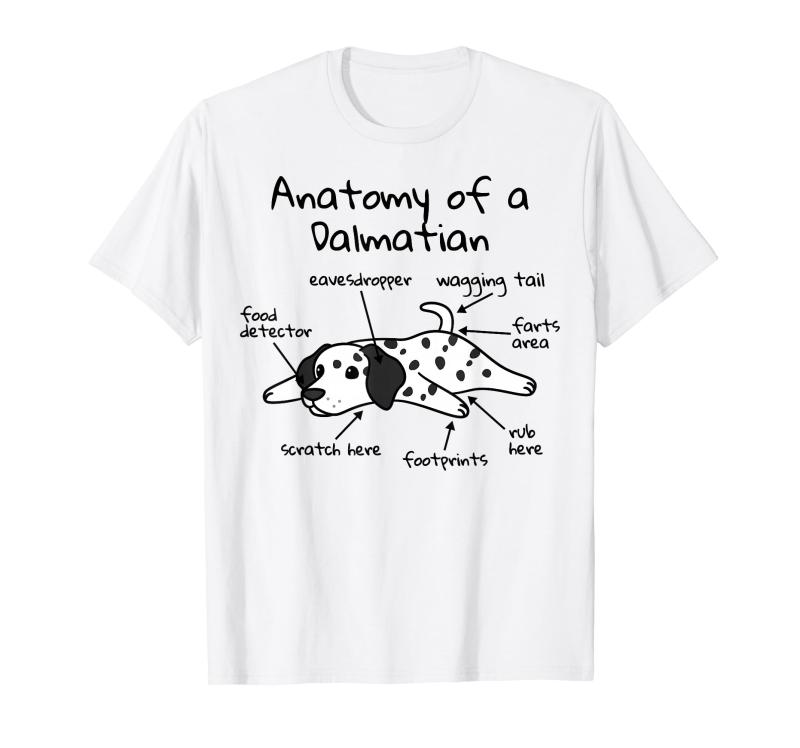 ����᥷���󸤤β�˶�� T�����