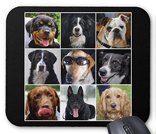 Rakuten - 様々な犬のマウスパッド 2：フォトパッド（世界の犬シリーズ） (横位置)