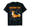 Funny Anatomy of a Fox シャツ Furry Fursona レディース キッズ メンズ Tシャツ