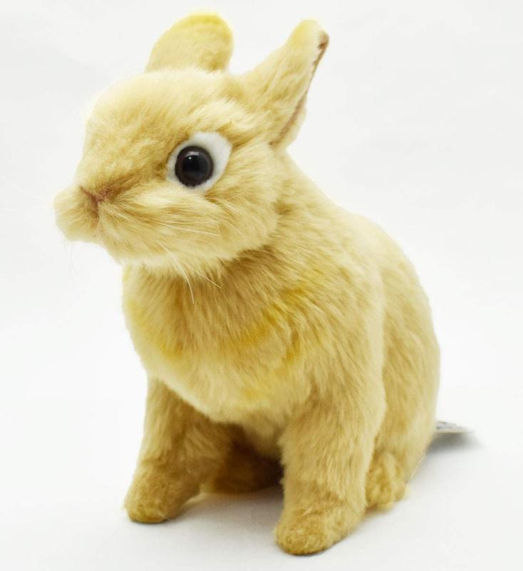 BH7022 HANSA ネザーランドドワーフ21(3.0)