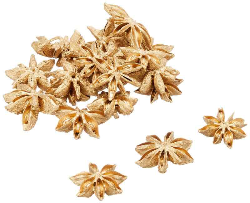 大地農園 ドライフラワー スターアニス ゴールド 約Φ3.0cm 35G入 DO021020-902