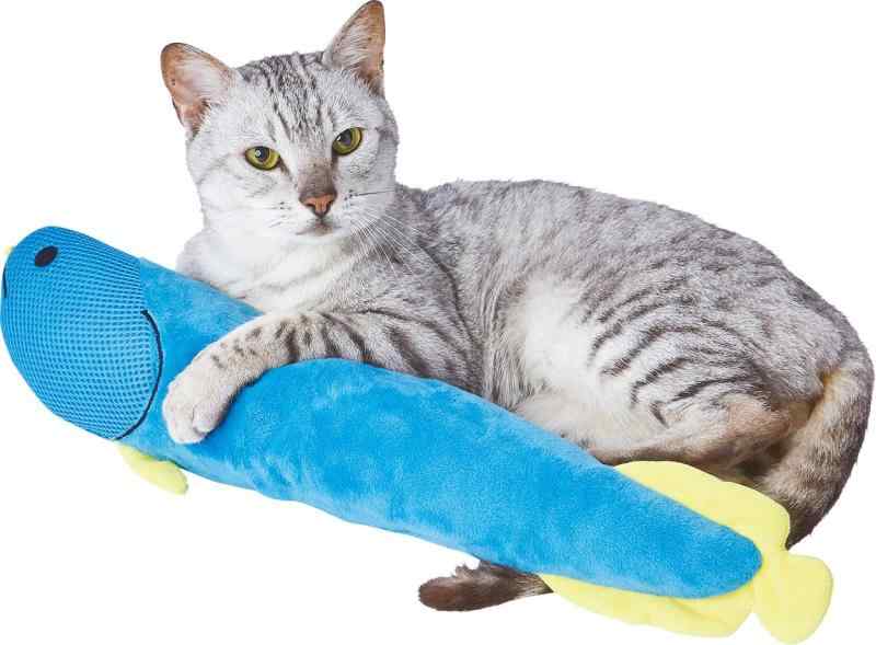 けりぐるみデンタル