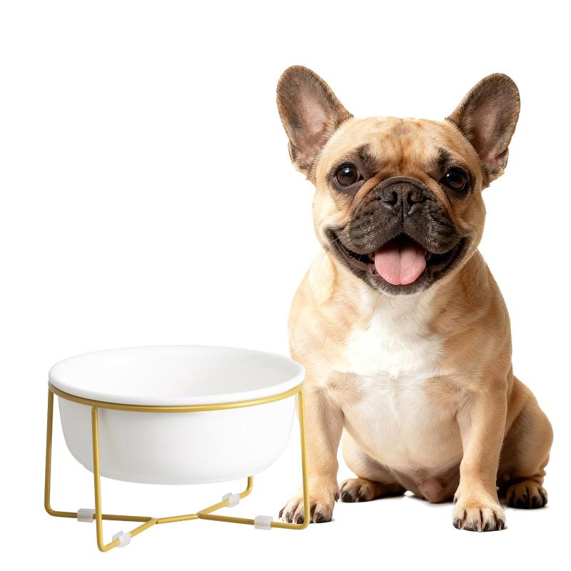 ホワイト大きい傾斜がある 15度 ペット ボウル 台 フードボウル 犬 猫食器 陶器 ウォーター ボウル 犬猫用 餌入れ 水入れ 水飲みボウル ペット皿 滑り止め 安定感 取り外し可能 手入れ簡単