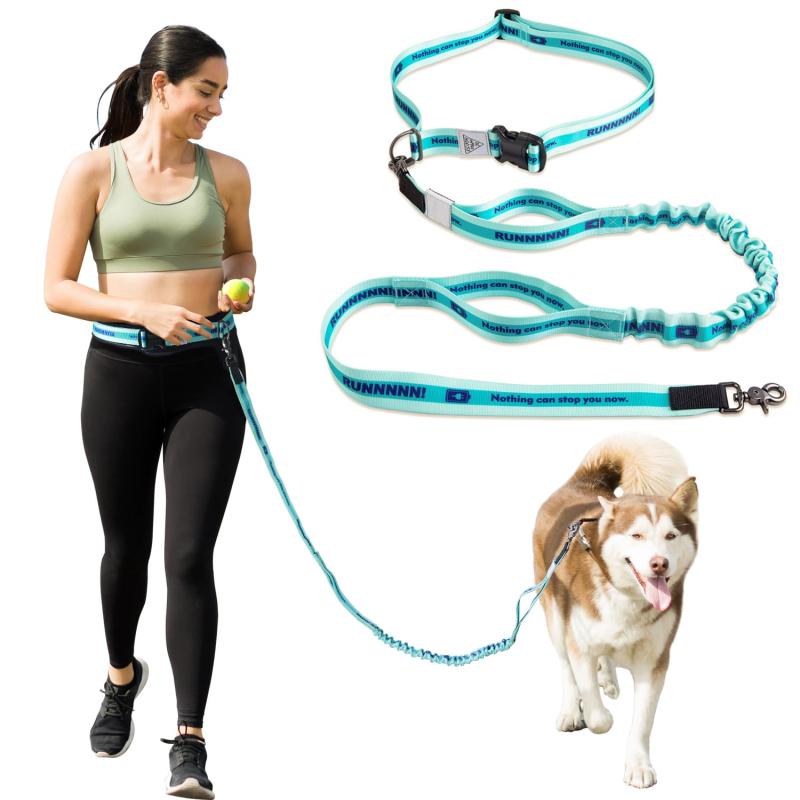 JC HOUSE 多機能犬用リード ハンズフリー 肩掛け/腰ベルト 伸縮調節可 多頭引き 3.5cmスーパー幅 長さ250cm 散歩/ジョギング/ランニング/ハイキング/訓練用 小型/中型/大型犬向け 丈夫なペット用