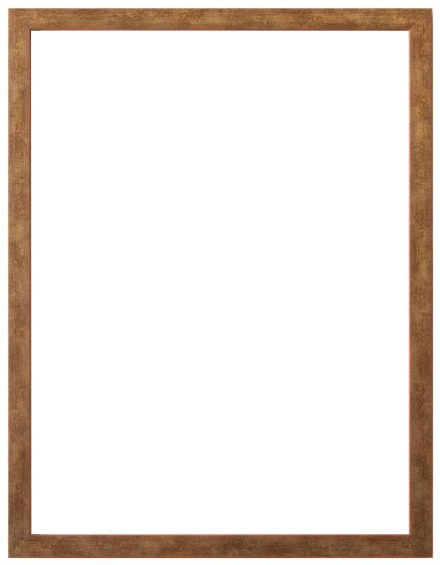 Rakuten - ラーソン・ジュール 額縁 アンドーバー 大衣(内寸509x394mm) ゴールド