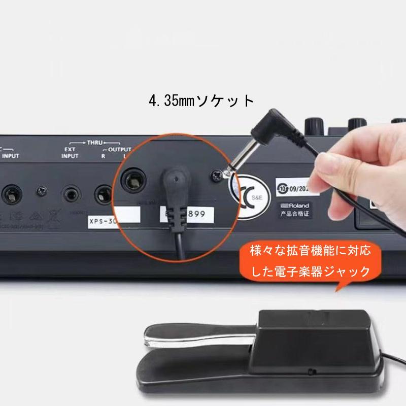 サステインペダル 6.35mm 入力プラグ 極性スイッチ付き ヤマハ、エレクトーン、ローランドエレクトリックピアノ、MIDI鍵盤シンセサイザ楽器汎用シングルステップ 滑り止めペダル 耐久性（ putera-10107401 GRATIQUE MIEI サンプル画像3