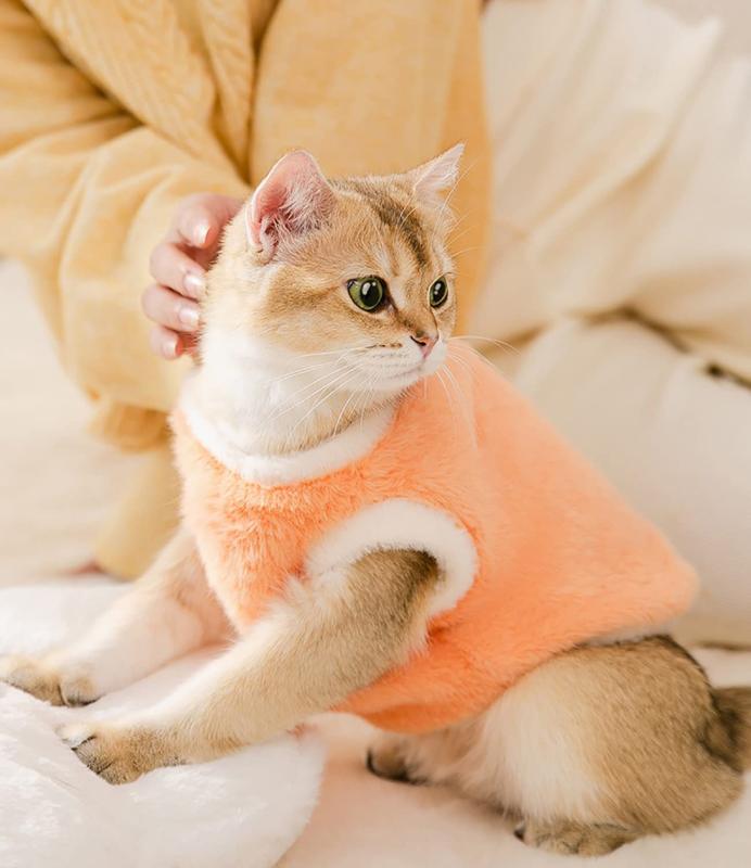 猫の服 犬用コスチューム 犬服 春秋冬暖かさ二本足可愛い おしゃれ中小型犬服ペット猫コスチューム(M, オレンジ)💖サイズ：XS、S、M、L。模造ミンクベルベット素材、暖かくて、手触り良く、着心地も良く、着せやすいです。触り良くと通気性あって。とても可愛い、もっと保温がいいです。お散歩、お出かけなどに大活躍です💖シンプルなデザインとパステルカラーが可愛いデザインニットのセーターです毛まみれを避けるのために部屋着として使え、着やすいし、わがままなペットちゃんに脱着ことが易くなります。 冬も暖かくお留守番や、肌寒い日も元気にお出掛けにも最適です。💖軽くて暖かい生地、ざっくりした素材なので、秋から春先まで活躍しますよ。表地、裏地とてもソフトで快適な生地で、着心地も良く、着せやすいです。寒い冬でも、これで寒さ対策💖触り良く、伸縮性と通気性あって寒い時期のお散歩やお出掛けにも。絶妙な風合いと高品質は、履きやすく、スポーツを妨げず、保温性が高く、犬に暖かく快適な着用体験を提供します。💖普段着、休日、イベント、誕生日、記念撮影に適した変身服。あなたの愛犬と楽しい時間を過ごしてください。友人や親戚の犬へのプレゼントとしても人気があります。