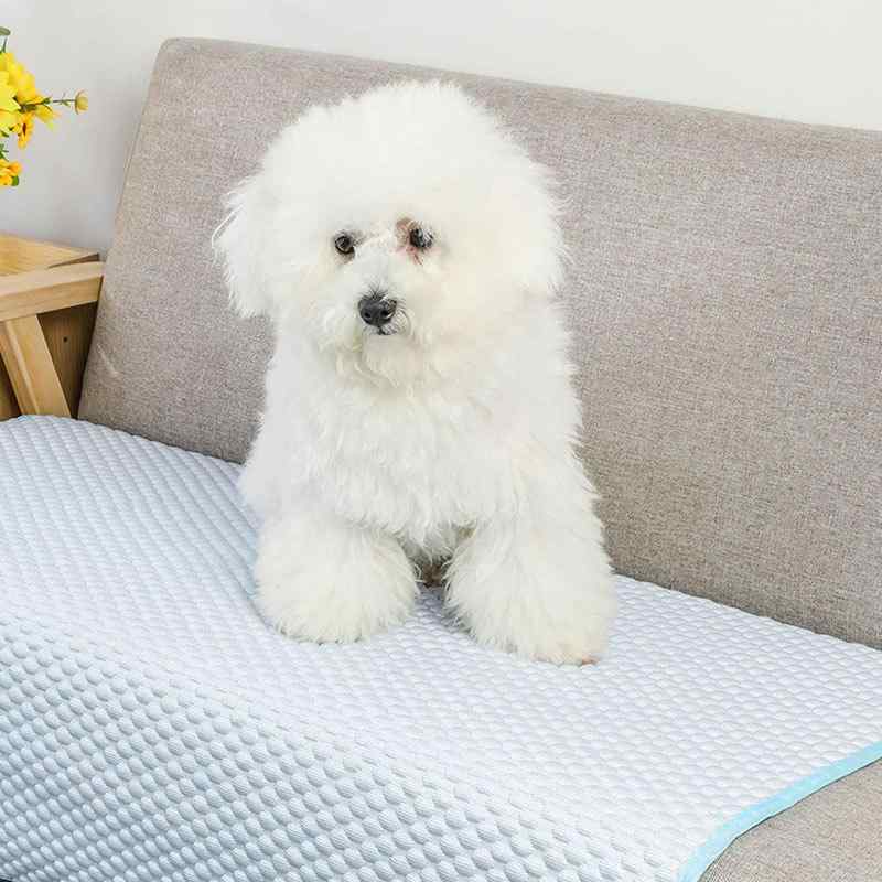ペット マット 犬 猫用 冷却マット 接触冷感 ソファマット クールマット オールシーズン 通年利用可 室内用