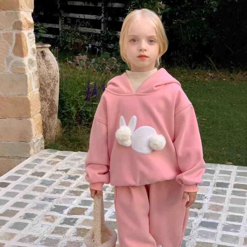 ・カテゴリ: 子供用セットアップ・対象性別: 女児・スタイル: 韓国風・セット内容: トップス、パンツ（2点セット）・対象年齢: 中小童（3～8歳、身長100～140cm）・袖丈: 長袖・フード: フード付き（取り外し不可）・パンツ丈: 長ズボン・生地加工: ソフト加工・厚さ: 極厚・柄: キャラクター・仕様: プルオーバー・主な素材: 綿98%・安全基準: A類・カラー展開: ピンク・サイズ展開: 90cm、100cm、110cm、120cm、130cm