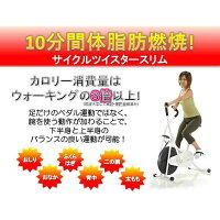 コンビニ後払いOK!【最新版:エアロバイク】サイクルツイスタースリム送料無料/フィットネスバイク/WT550