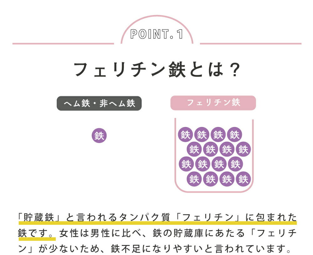 フェリチン 鉄サプリ 女子のおまもりサプリ フェリチン鉄 150粒 【メール便送料無料】【代引不可】 鉄サプリメント 鉄 鉄分