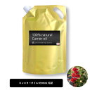 【2点購入でラベンダー】 &SH キャスターオイル 1000ml ( 精製 ) キャリアオイル [ 乾燥肌 頭皮 ケア エドガー・ケイシー ストレッチマーク 湿...