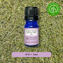 【2点購入でラベンダー】 &SH アロマ オーガニック エッセンシャルオイル ( 精油 ) 100%ピュア ヤロウ 5ml アロマオイル [ ヤロー 西洋ノコギ...