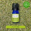 【2点購入でラベンダー】 &SH アロマ オーガニック エッセンシャルオイル ( 精油 ) 100%ピュア クンジア 5ml アロマオイル [ 癒し ナチュラル...