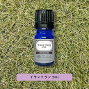 【2点購入でラベンダー】 &SH プレミアム エッセンシャルオイル イランイラン 5ml [ アロマ 精油 植物100% 天然 ピュア アロマオイル オイル ギ...
