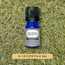 【2点購入でラベンダー】 &SH プレミアム エッセンシャルオイル ユーカリグロブルス 5ml / アロマ 精油 植物100% 天然 ピュア アロマオイル オイ...