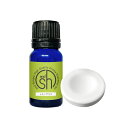 【2点購入でラベンダー】 アロマストーン &精油セット &SH 【AEAJ表示基準適合認定精油】100%ピュア アロマ エッセンシャルオイル ( 精油 ) レモ...