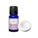 アロマストーン &精油セット &SH アロマ エッセンシャルオイル ( 精油 ) 100%ピュア オーガニック認証 真正ラベンダー( イングリッシュラベンダー ...