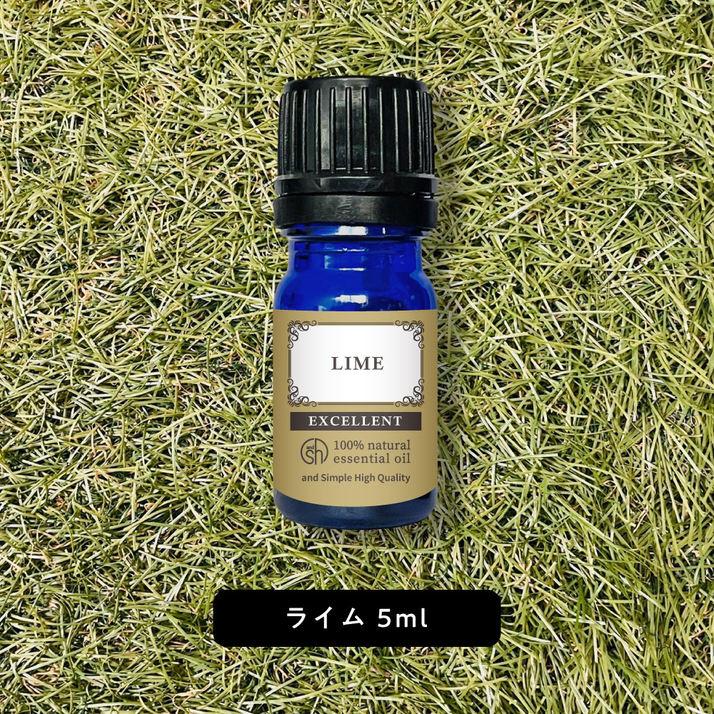 Lime - 【2点購入でラベンダー】 &SH エクセレント エッセンシャルオイル ライム 5ml [ アロマ 精油 植物100% 天然 ピュア アロマオイル オイル ギフト プレゼント アロマストーン ディフューザー と セット で おすすめ おしゃれ ルームフレグランス いい香り 柑橘系 ]