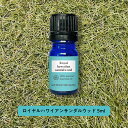 【2点購入でラベンダー】&SH アロマ エッセンシャルオイル ( 精油 ) ロイヤル ハワイアン サンダルウッド 5ml アロマオイル [ びゃくだん ビャクダ...