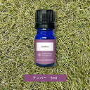 【2点購入でラベンダー】&SH アロマ エッセンシャルオイル ( 精油 ) アンバー 5ml アロマオイル [ aroma 琥珀 Amber オイル ナチュラル...