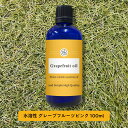 【2点購入でラベンダー】 &SH 植物由来原料使用 アロマ 水溶性 エッセンシャルオイル グレープフルーツ ピンク 100ml アロマオイル [ 柑橘 癒し い...