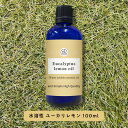 【2点購入でラベンダー】 &SH 植物由来原料使用 アロマ 水溶性 エッセンシャルオイル ユーカリレモン 100ml アロマオイル [ ユーカリ レモン 癒し ...