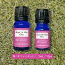 【2点購入でラベンダー】 &SH ローズ