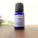 【2点購入でラベンダー】 &SH 植物100%ブレンド エッセンシャルオイル 10ml NO.367 Yoga IIアンドエスエイチ [ 瞑想 集中 ヨガ アユ...