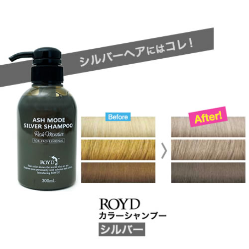 【2点購入でラベンダー】【あす楽】 カラーシャンプー 【 シルバー 】 300ml ブライセス ロイド [ シャンプー シルシャン ROYD ヘアカラー アッシュ 系の髪色におすすめ コスプレ]【 送料無料 】※北海道・沖縄除く