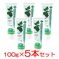 【あす楽】 デンティス チューブタイプ 100g × 5本 ※並行品でのお届けとなります。[ DENTISTE / 口臭対策 / 歯磨き粉 リベルタ / セット ](9300807032992)【w】『5』【 送料無料 】※北海道・沖縄除く