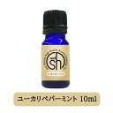 【2点購入でラベンダー】 &SH 【AEAJ表示基準適合認定精油】100%ピュア アロマ エッセンシャルオイル ( 精油 ) ユーカリペパーミント 10ml ア...