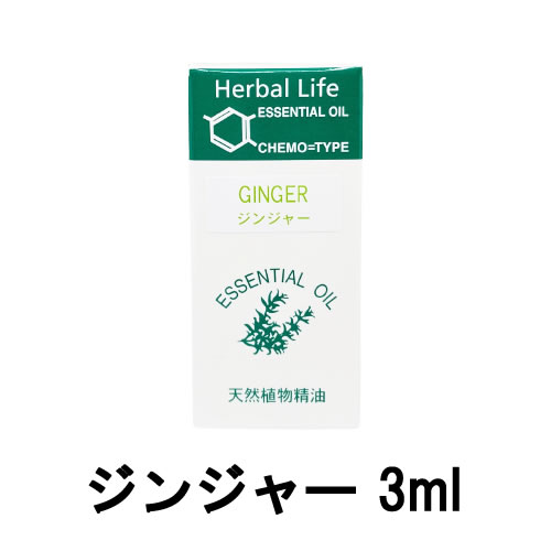 【2点購入でラベンダー】 生活の木 エッセンシャルオイル ジンジャー 3ml [ tree of life 精油 天然 天然精油 アロマオイル アロマ プチグレン オイル マッサージオイル マッサージ トリートメント リラックス 癒し リラクゼーション ]【 定形外 送料無料 】